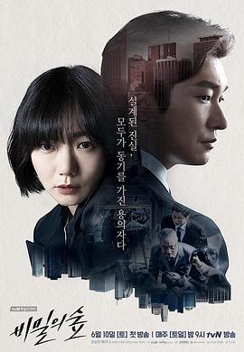 《秘密森林》百度云盘「BD1080P/3.4G-MKV」中英双字全集高清版迅雷资源