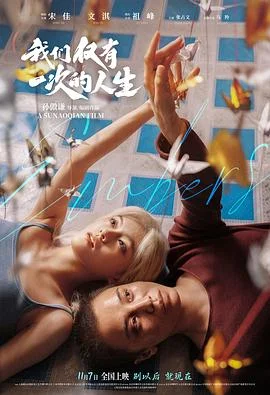 《我们仅有一次的人生》百度云网盘英文版【BD1080P/4.3G-MP4】已更新加长版